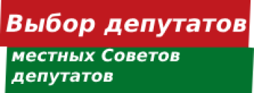 Выбор депутатов местных Советов депутатов