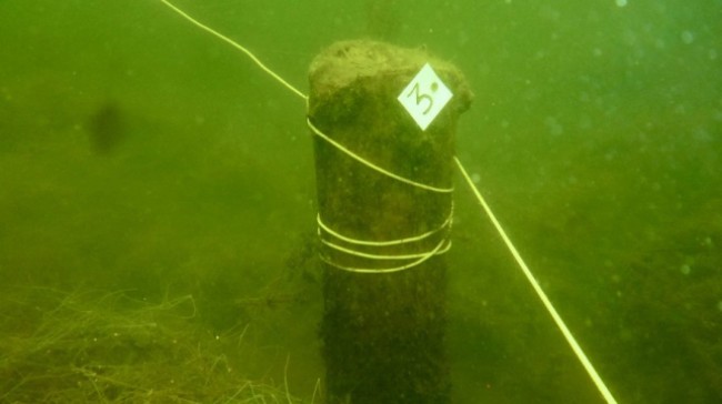 Remains of 500-year-old bridge found underwater in Vitebsk Oblast
