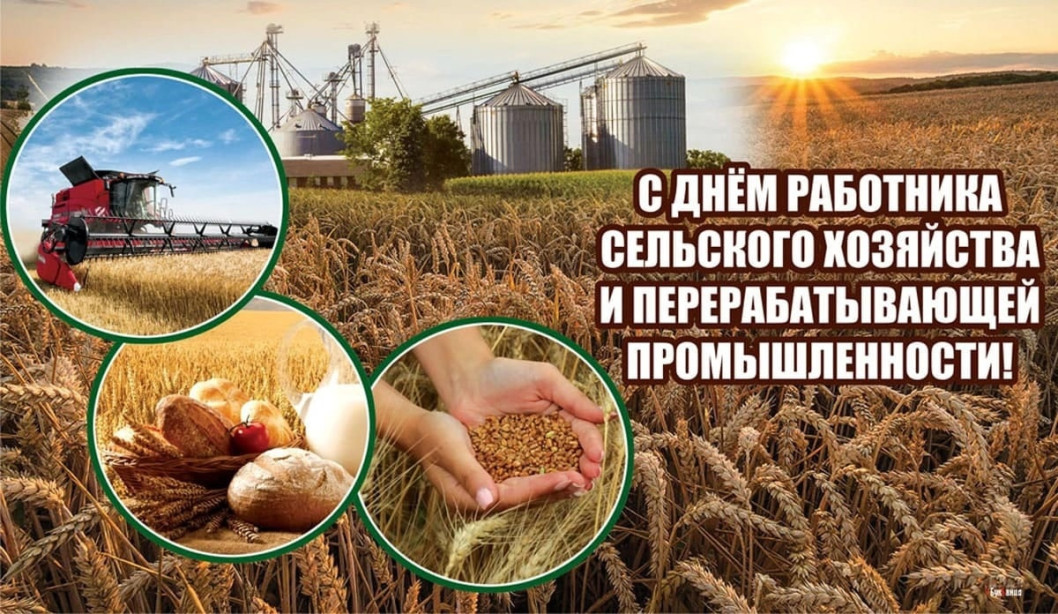 Поздравление от руководства района с Днем работников сельского хозяйства и перерабатывающей промышленности агропромышленного комплекса