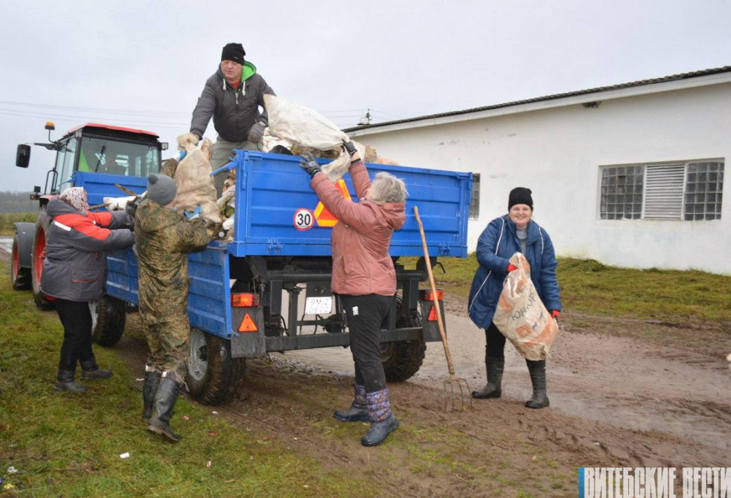 Более 5 тысяч человек во время республиканского субботника трудились на территориях почти 130 сельхозорганизаций Витебщины