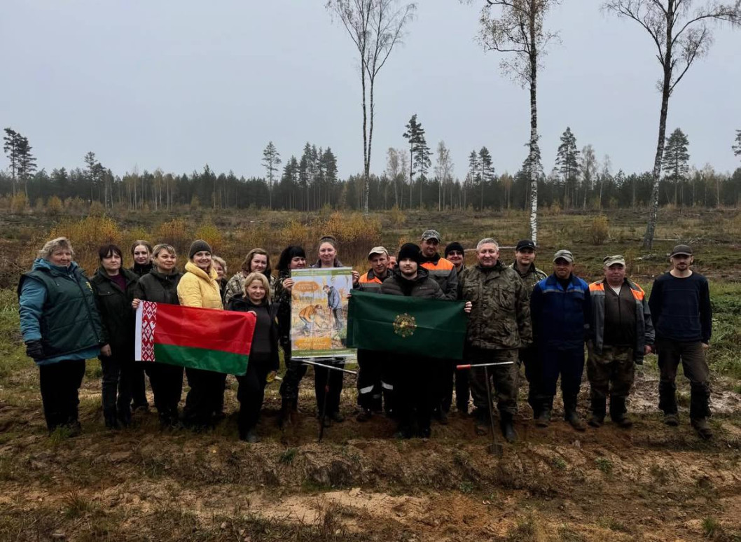 Городокский лесхоз принял участие в республиканской акции «Дай лесу новае жыццё!»