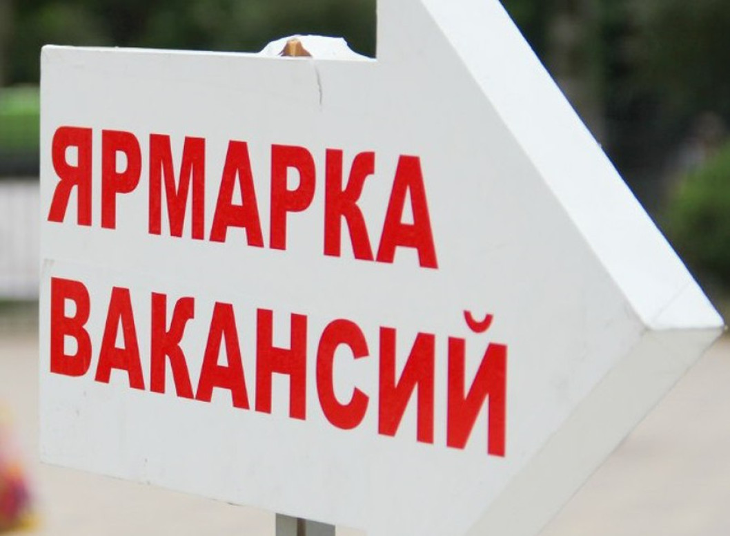 Управление по труду, занятости и социальной защите Городокского райисполкома 27 ноября 2025 года с 10:00 до 12:00 проведет электронную ярмарку для граждан,заинтересованных в трудоустройстве, в том числе освободившихся из мест лишения свободы, прекративших нахождение в ЛТП.
