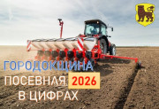 Посевная в цифрах на Городокщине