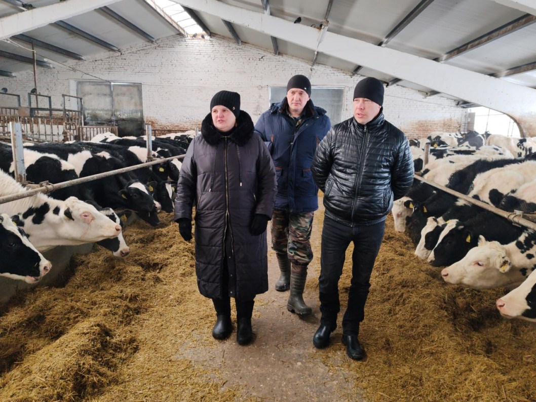 Руководство района и специалисты заинтересованных служб ежедневно посещают мехдворы и молочнотоварные комплексы сельхозпредприятий с целью оказания практической поддержки