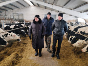 Руководство района и специалисты заинтересованных служб ежедневно посещают мехдворы и молочнотоварные комплексы сельхозпредприятий с целью оказания практической поддержки