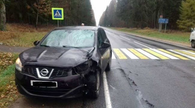 В Городокском районе Nissan насмерть сбил 18-летнего велосипедиста
