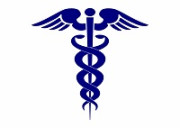 Блохи: как избавиться?